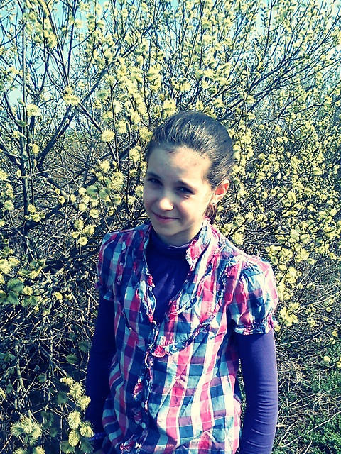 - bazieee .