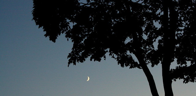night time