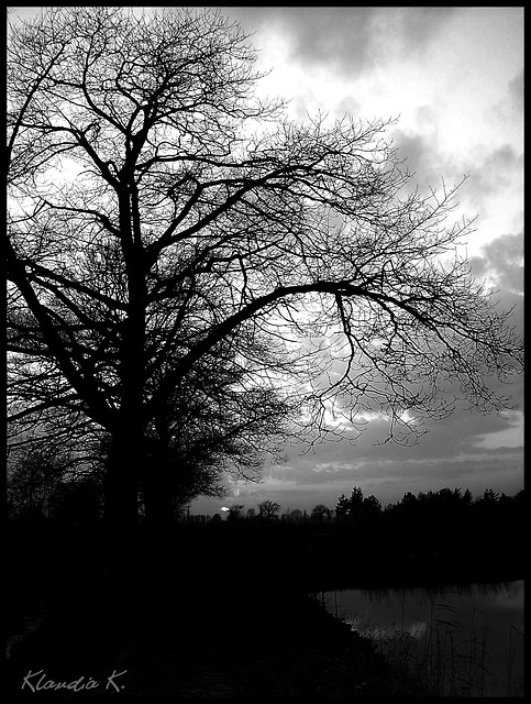 Black & White