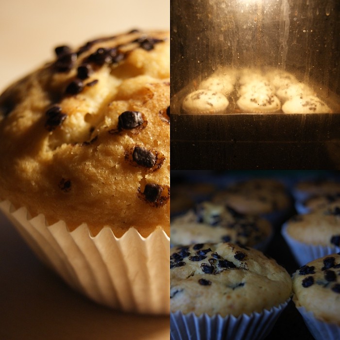 muffin! 
