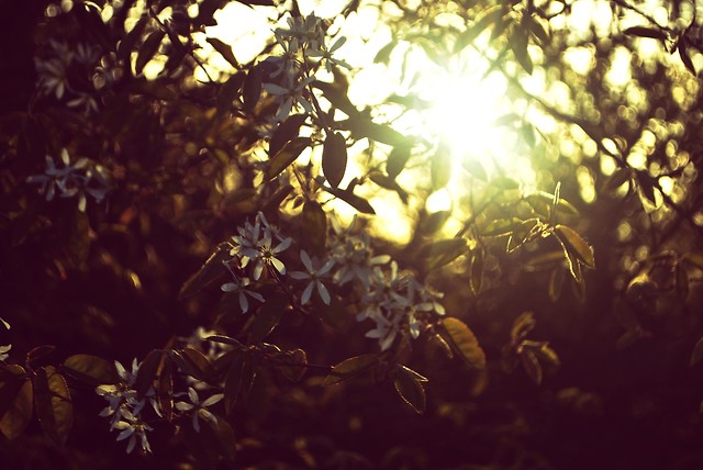 spring time here!