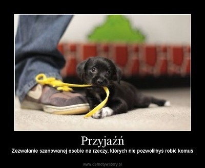 To tylko i wyacznie przyja :)