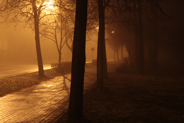 nocne stare