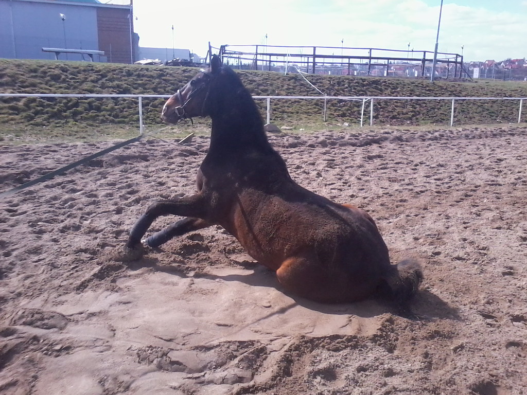 gary;P