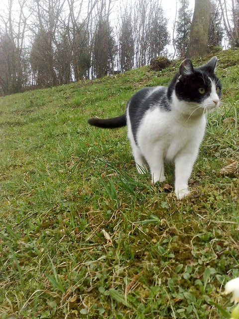 kiciu ;D