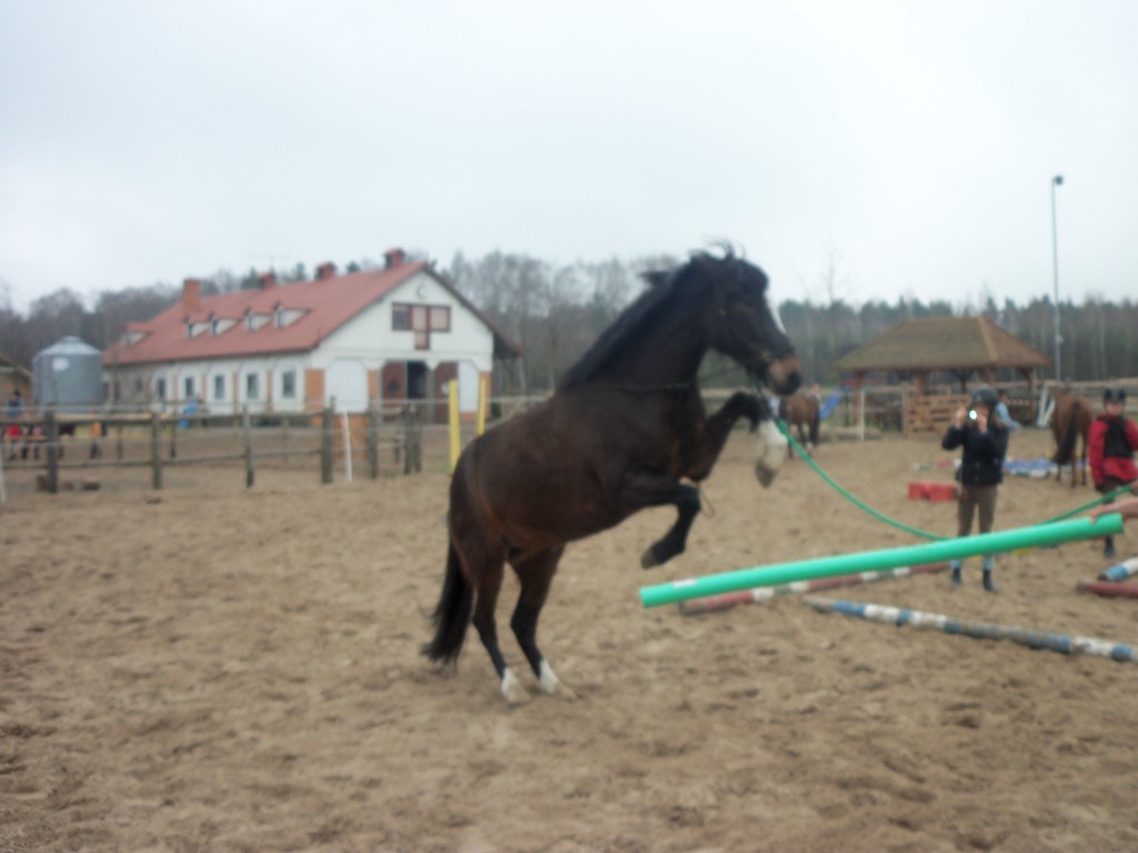 Jako. ; / 