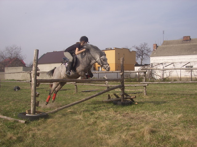 Cermi