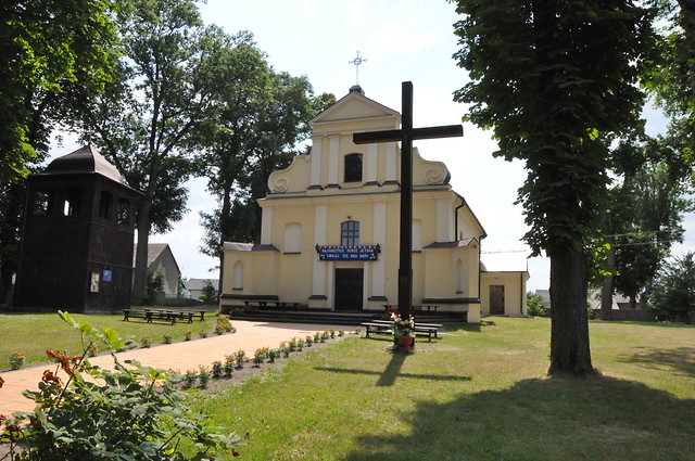 danne - Koci