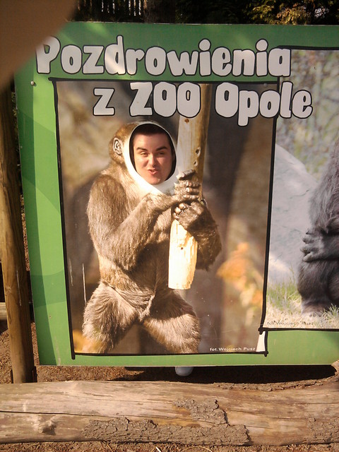 dokadnie.