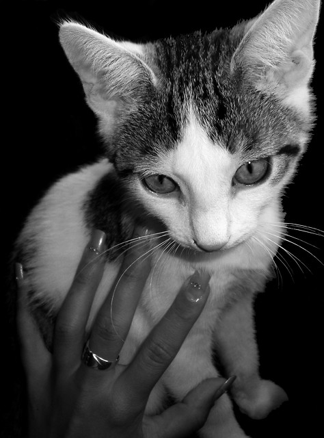 Kiciu... kiedy by mj ;]