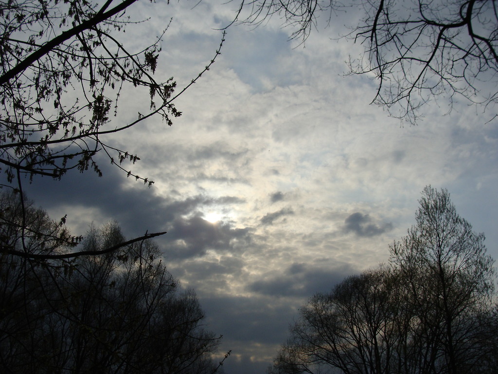 sun