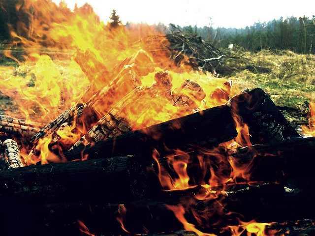 fireee.