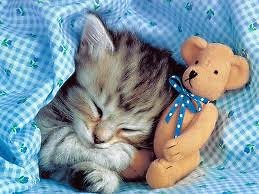 Sweet