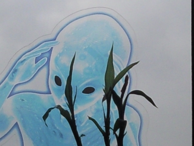 akuku