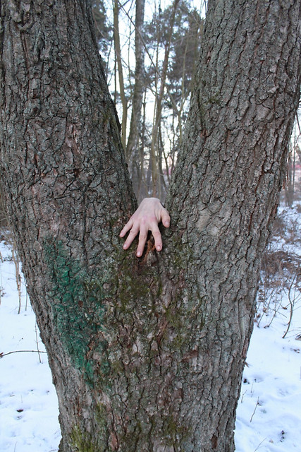 Podanie