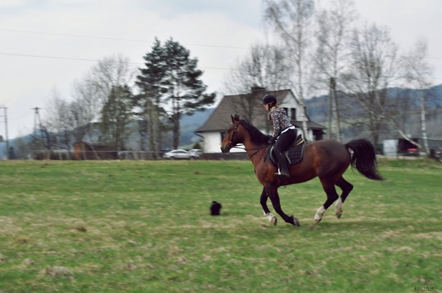 myszka. ;*