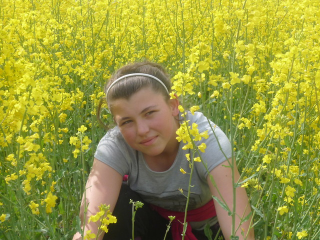 ; D 