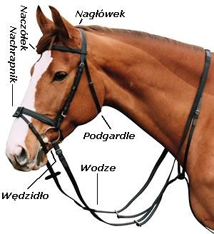 cos co powinnas wiedziec