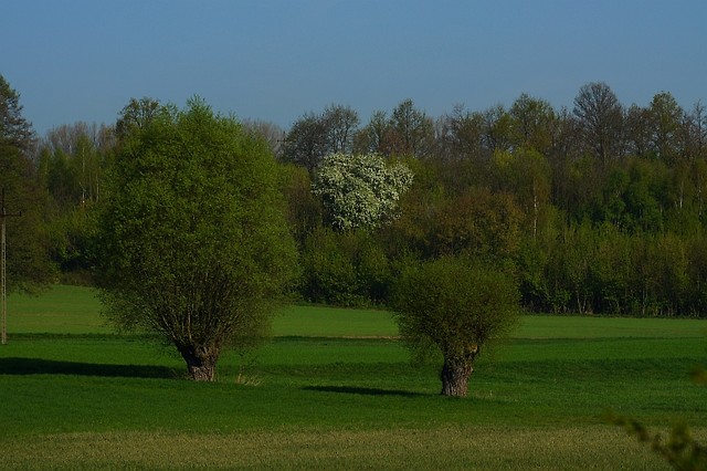 Rezerwat 