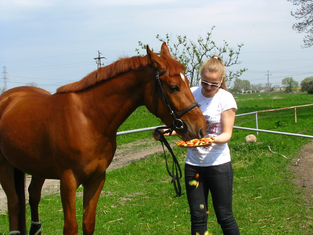 Sto Lat:*:*:*
