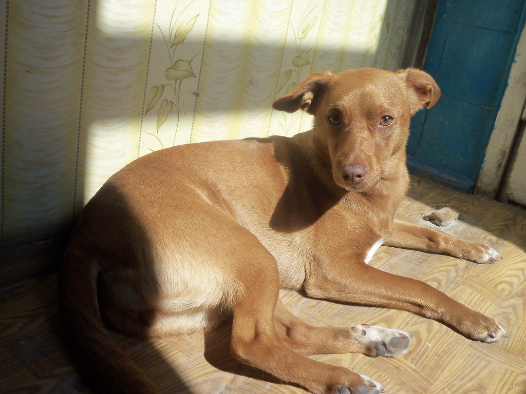 Mika ; * 