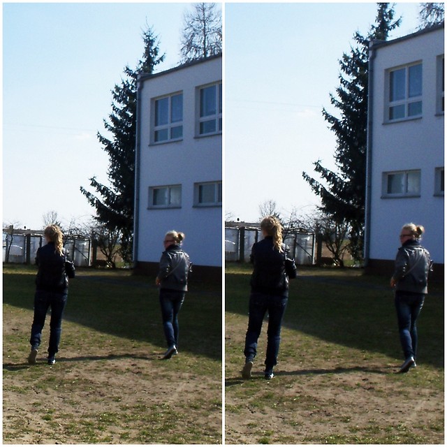Ciuniowe;*
