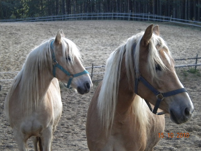 ^^Aron i Hanna^^