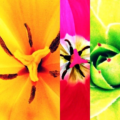 fullcolor
