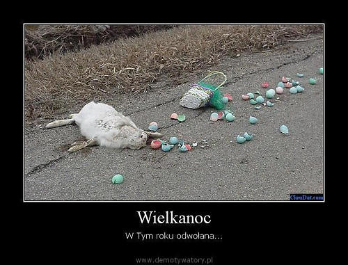 nudy na wsi xD