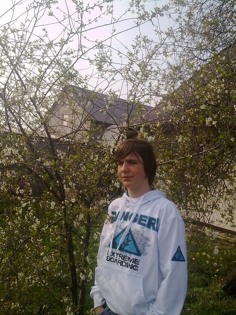 waam ;d.