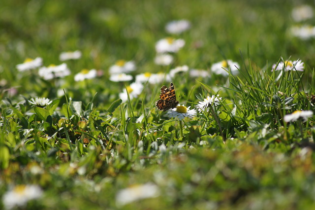 1/500s; F: 6,3; ISO:100