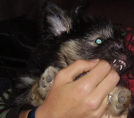 Pociecha :D 