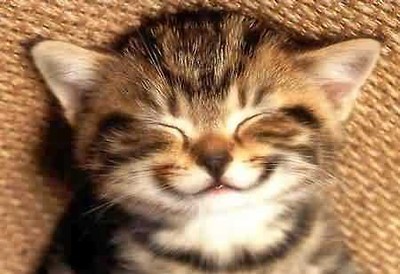 Happy