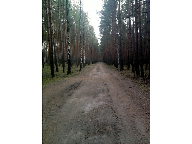 Wtorek.