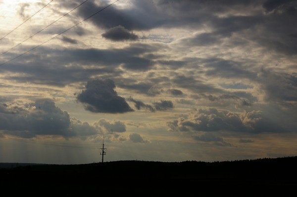 Widoczek