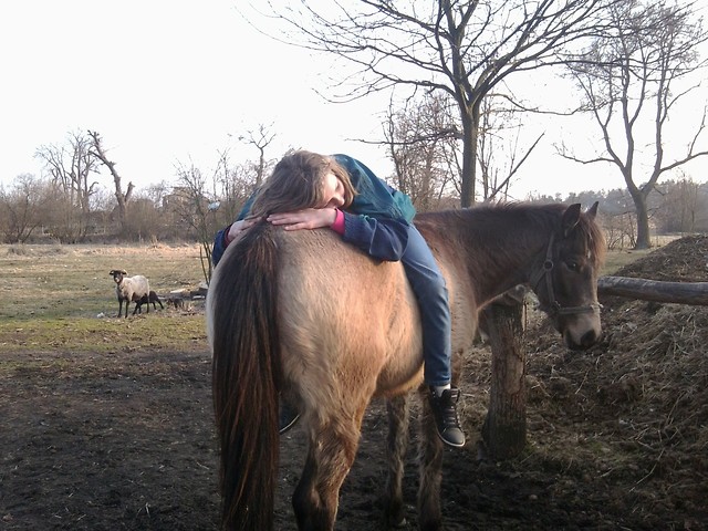 jaa na zadku karinoo ;***