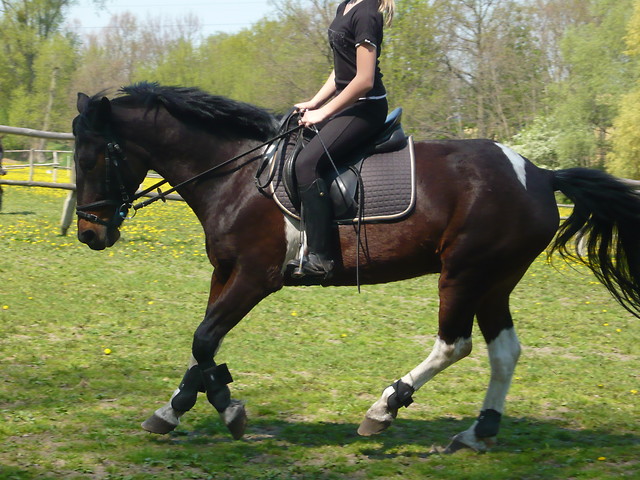Irys
