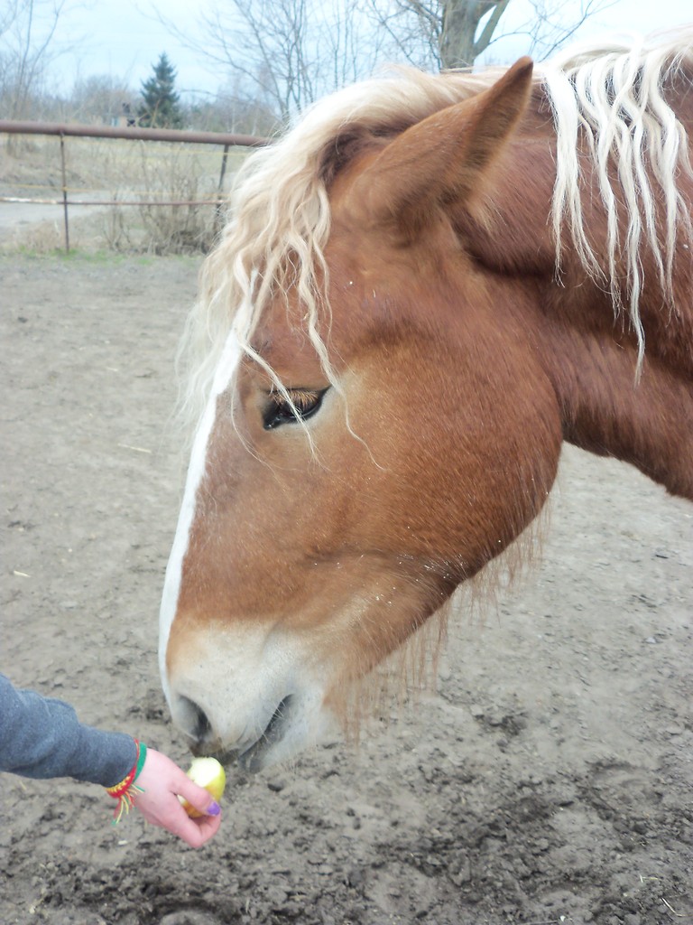 Wizja ;  )