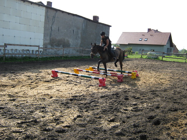 Konikowe ;D