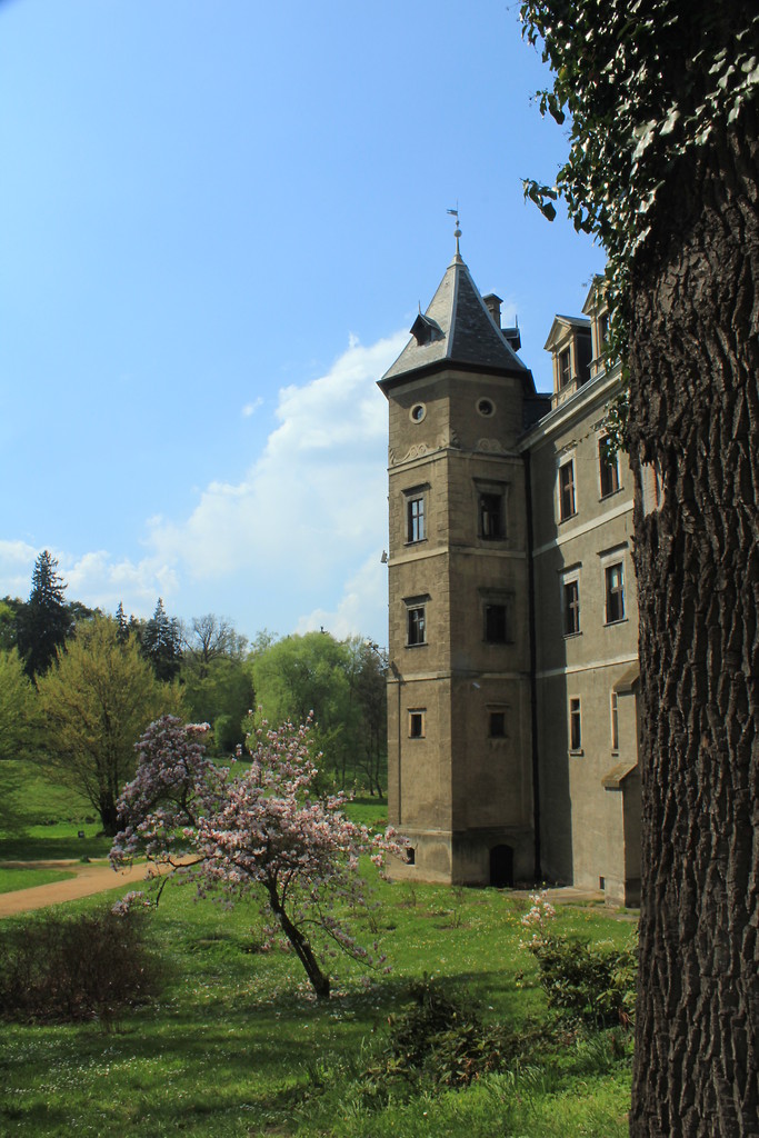 zamczysko 2