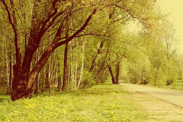 Park