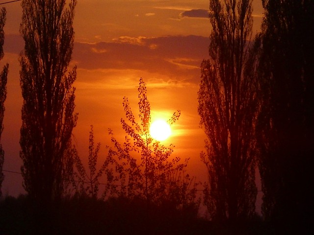 ,Rozmarzenie. 
