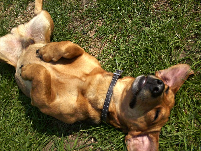 Toudi :D