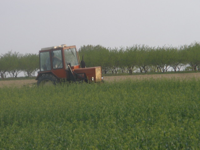 traktor w polu