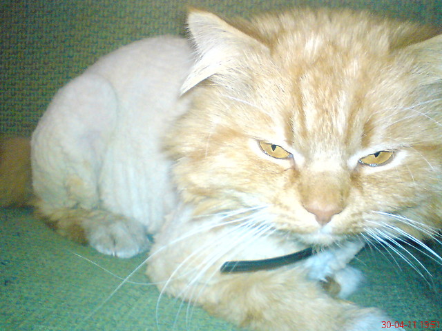 Borys ^^