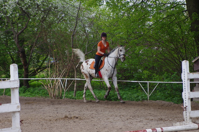 Galop :D