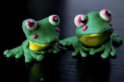 21 , frog