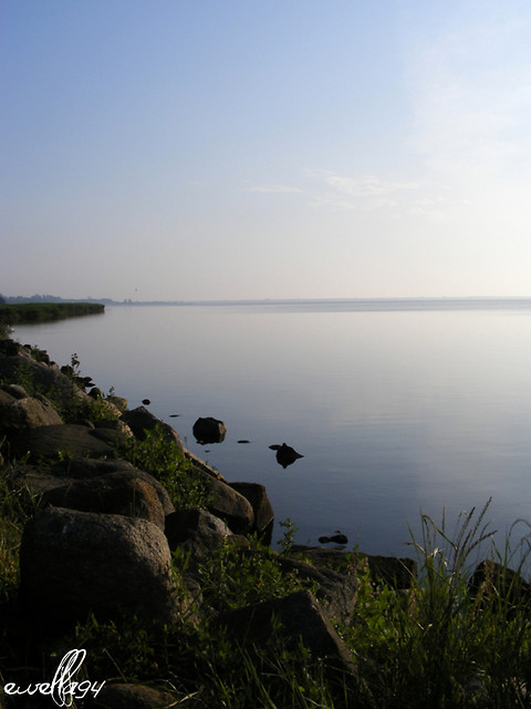 shore..