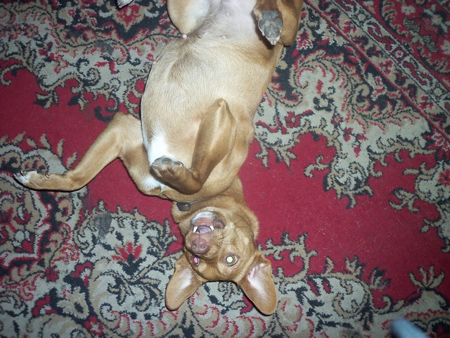 Mika ^^