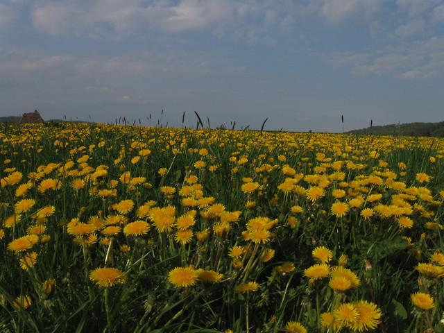 2maja2011